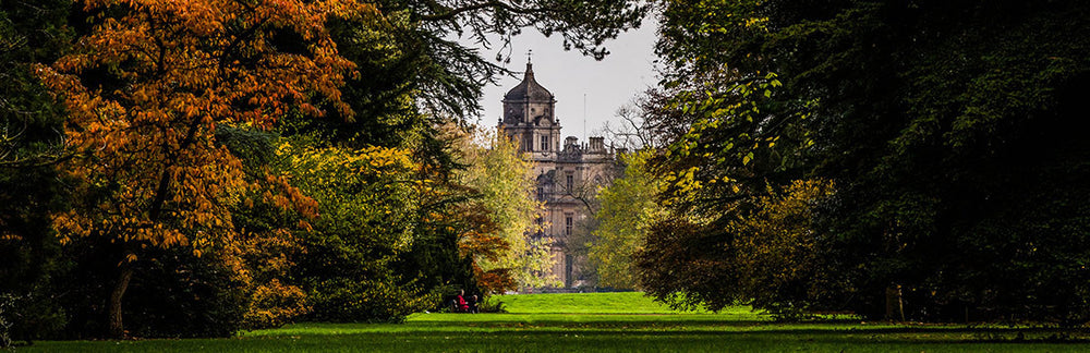 Westonbirt Arboretum